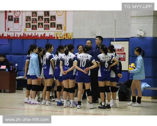 重庆排球队排球战术创新高引领全国潮流展现新风貌